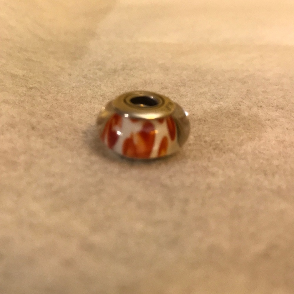 Retired Murano Glass Pandora Charm